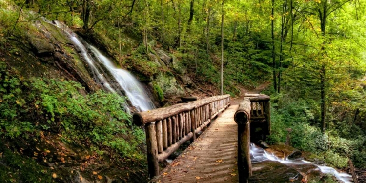 Picture of FALLS PANORAMA