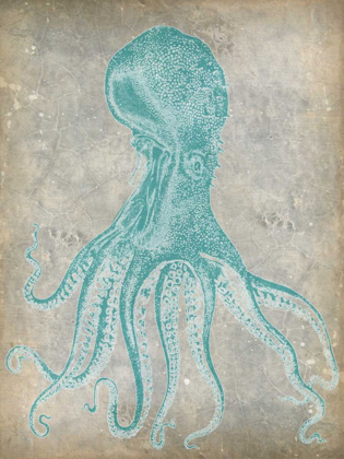 Picture of SPA OCTOPUS II