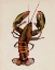 Picture of SEA DWELLER II