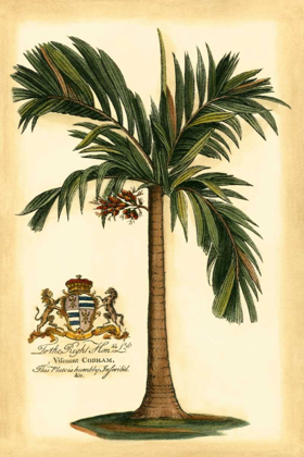 Picture of BRITISH COLONIAL PALM I