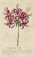 Picture of GARDENERS GUIDE VII