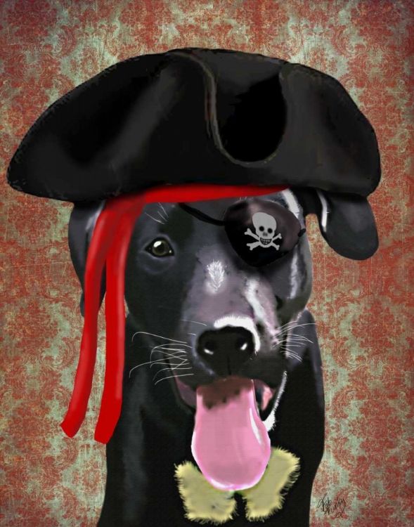 Picture of BLACK LABRADOR PIRATE DOG