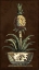 Picture of POTTED PINEAPPLE II