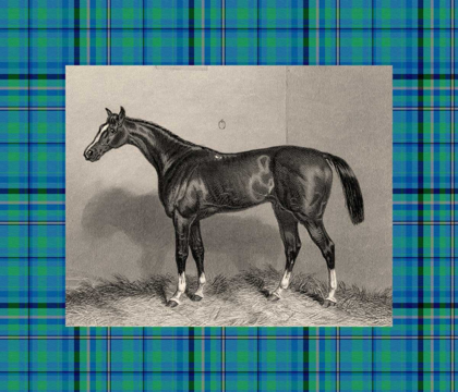 Picture of EQUESTRIAN PLAID IV