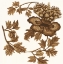 Picture of TAPESTRY FLORAL II