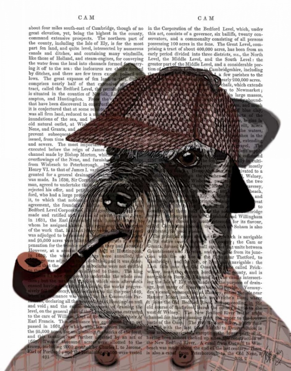 Picture of SCHNAUZER SHERLOCK