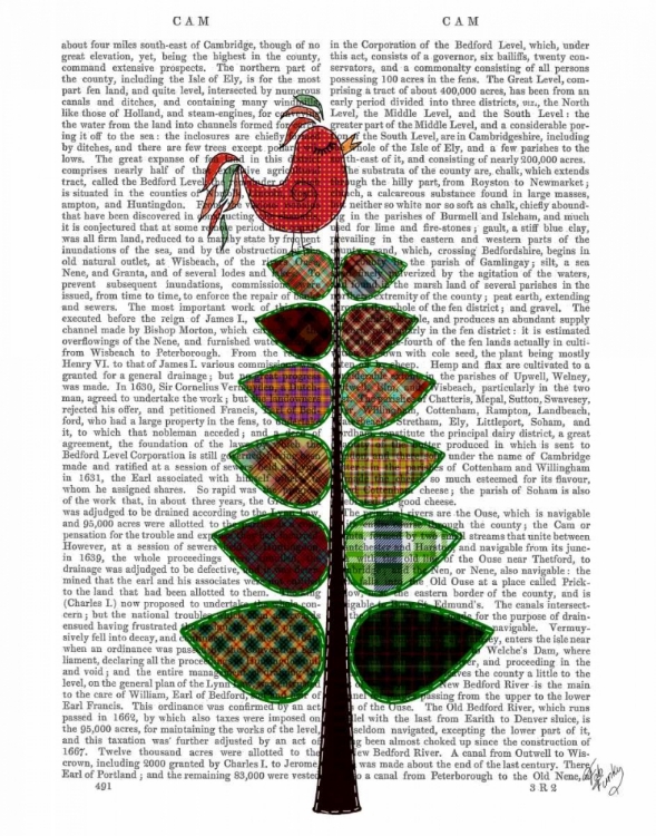 Picture of TARTAN TREE ILLUSTRATION