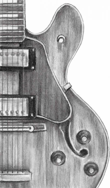 Picture of STRINGED INSTRUMENT STUDY IV