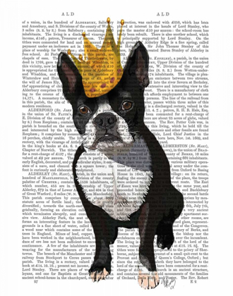 Picture of BOSTON TERRIER AND CROWN
