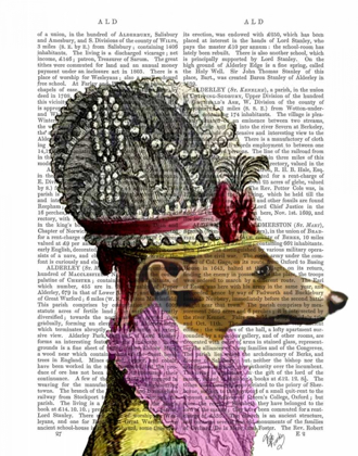 Picture of GREYHOUND IN 16TH CENTURY HAT