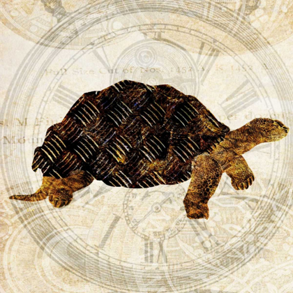 Picture of STEAM PUNK TURTLE II