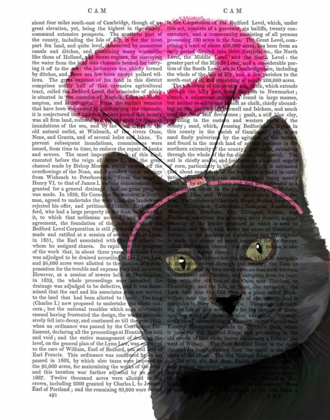 Picture of BLACK CAT WITH PINK ANGEL HALO
