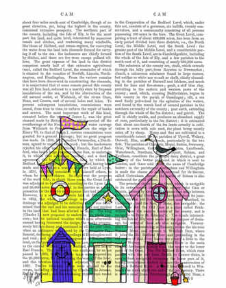 Picture of BEACH HUTS 1 ILLUSTRATION