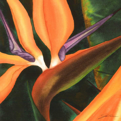 Picture of BIRD OF PARADISE TILE IV