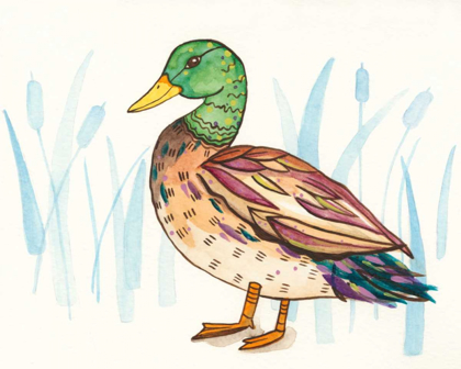 Picture of WETLAND MALLARD I