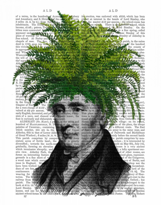 Picture of FERN HEAD PLANT HEAD