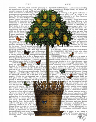 Picture of LEMON TREE