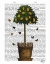 Picture of LEMON TREE