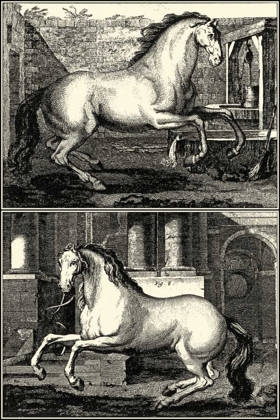 Picture of GALLOPING HORSES II