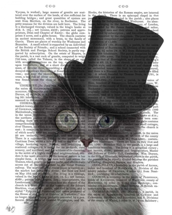 Picture of CAT, GREY WITH TOP HAT