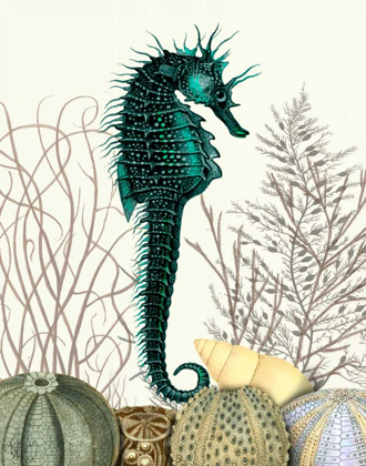 Picture of SEAHORSE AND SEA URCHINS