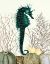 Picture of SEAHORSE AND SEA URCHINS