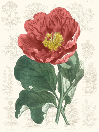 Picture of PEONY FLOWER GARDEN I