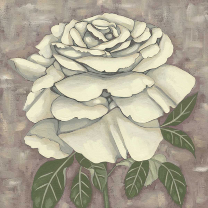 Picture of SILVER ROSE II