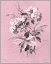 Picture of DUSSURGEY HYDRANGEA ON PINK