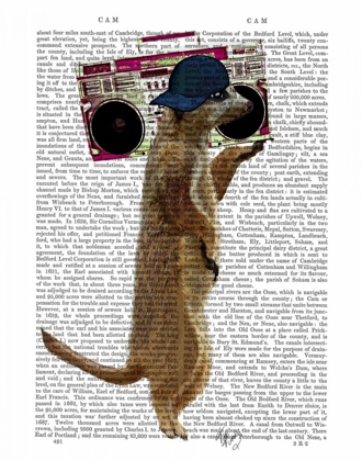 Picture of MEERKAT WITH BOOM BOX GHETTO BLASTER