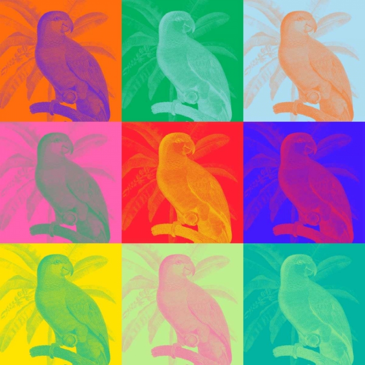 Picture of PARROT PARTY I