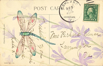 Picture of POSTCARD DRAGONFLY III