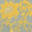 Picture of BUTTERCUP BOTANICAL IV