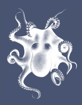 Picture of WHITE OCTOPUS ON INDIGO BLUE D