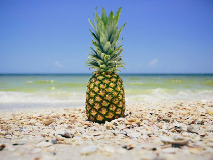Picture of SOUTH FLORIDA PINEAPPLE II