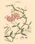 Picture of BLUSHING PINK FLORALS VI