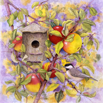 Picture of CHICKADEE AND APPLES