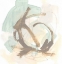 Picture of INTANGIBLE V