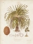 Picture of ANTIQUE TROPICAL PALM II