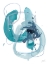 Picture of AQUA ORBIT II