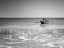 Picture of THE FISHERMEN