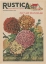 Picture of PLANTEZ DES CHRYSANTHEMES