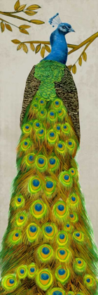 Picture of VINTAGE PEACOCK I