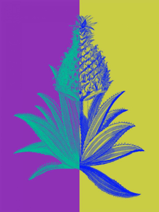 Picture of PINEAPPLE MIX II