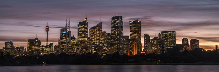 Picture of SYDNEY SKYLINE