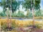 Picture of LUMINOUS MEADOW I