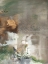 Picture of CANYON SEASONS II