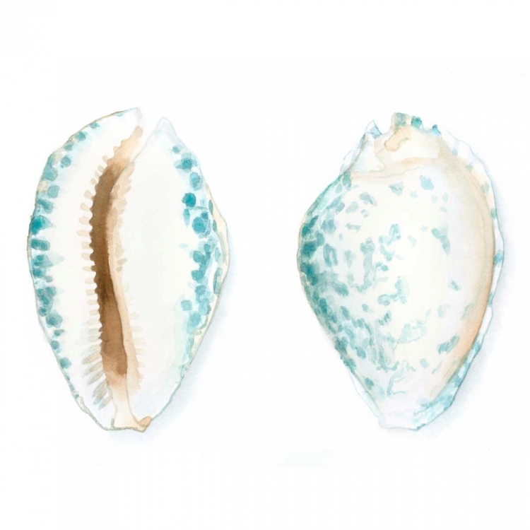 Picture of WATERCOLOR SHELLS VI