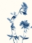 Picture of INDIGO WILDFLOWERS II