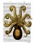 Picture of VINTAGE YELLOW OCTOPUS UNDERSIDE